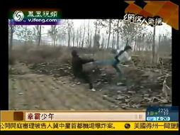 好看的国产打斗视频,热血沸腾！国产打斗视频中的精彩瞬间大盘点