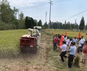 国产收割机打捆视频播放