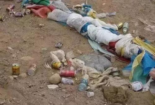 国产vitom粪便屎尿视频,真实生活场景下的排泄秘密