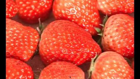 国产草莓视频在观看,甜蜜滋味，家乡味道
