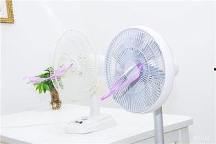 国产风扇的视频